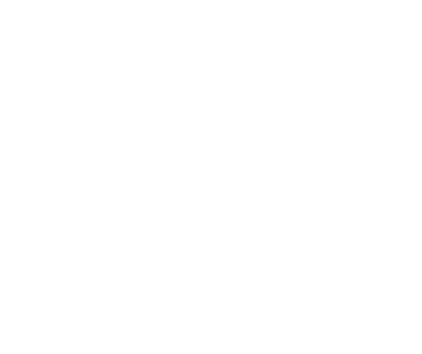 Magic Caribbean Transporte y Turismo 