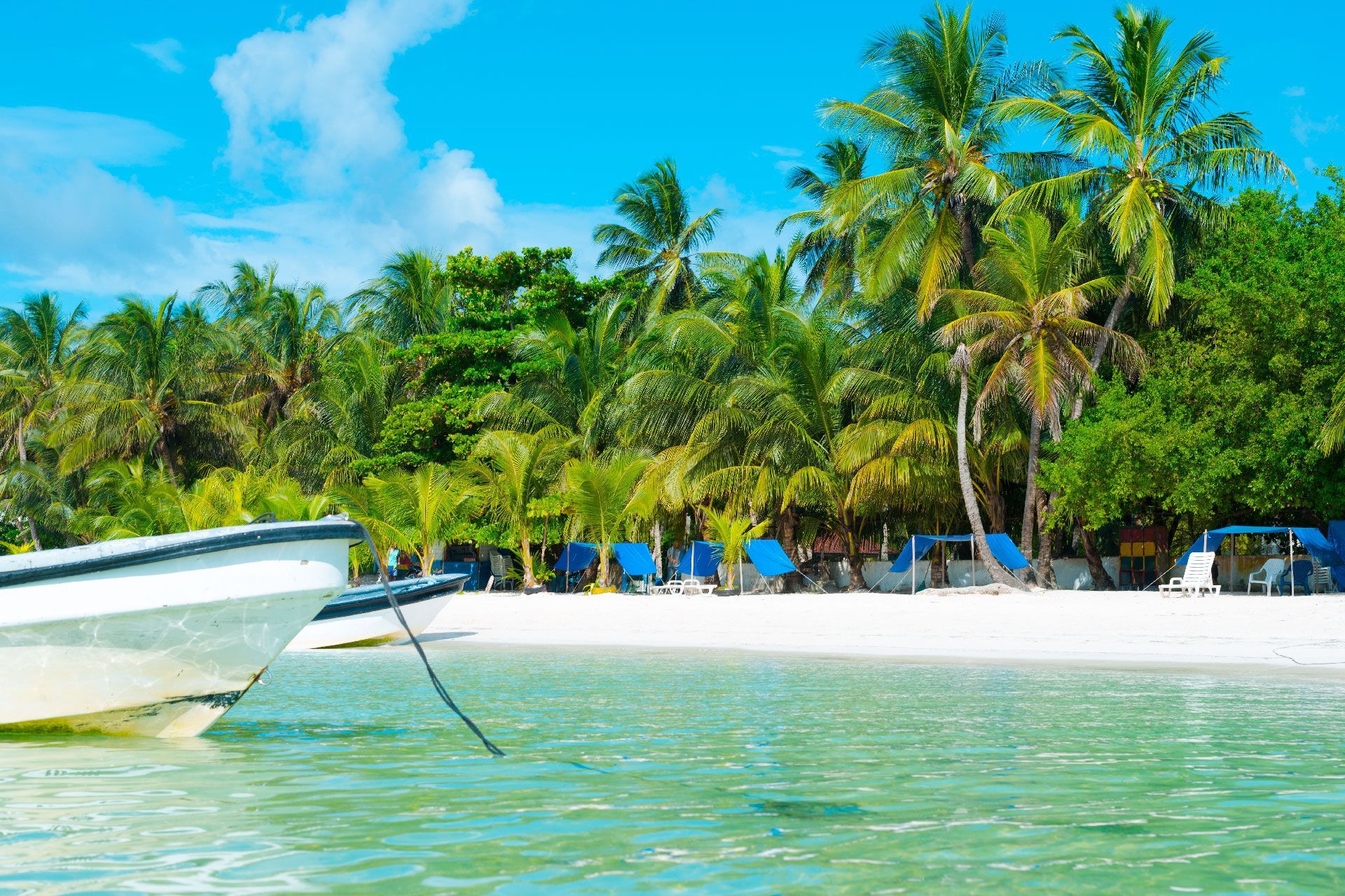 Un barco está amarrado a la orilla de una playa tropical.