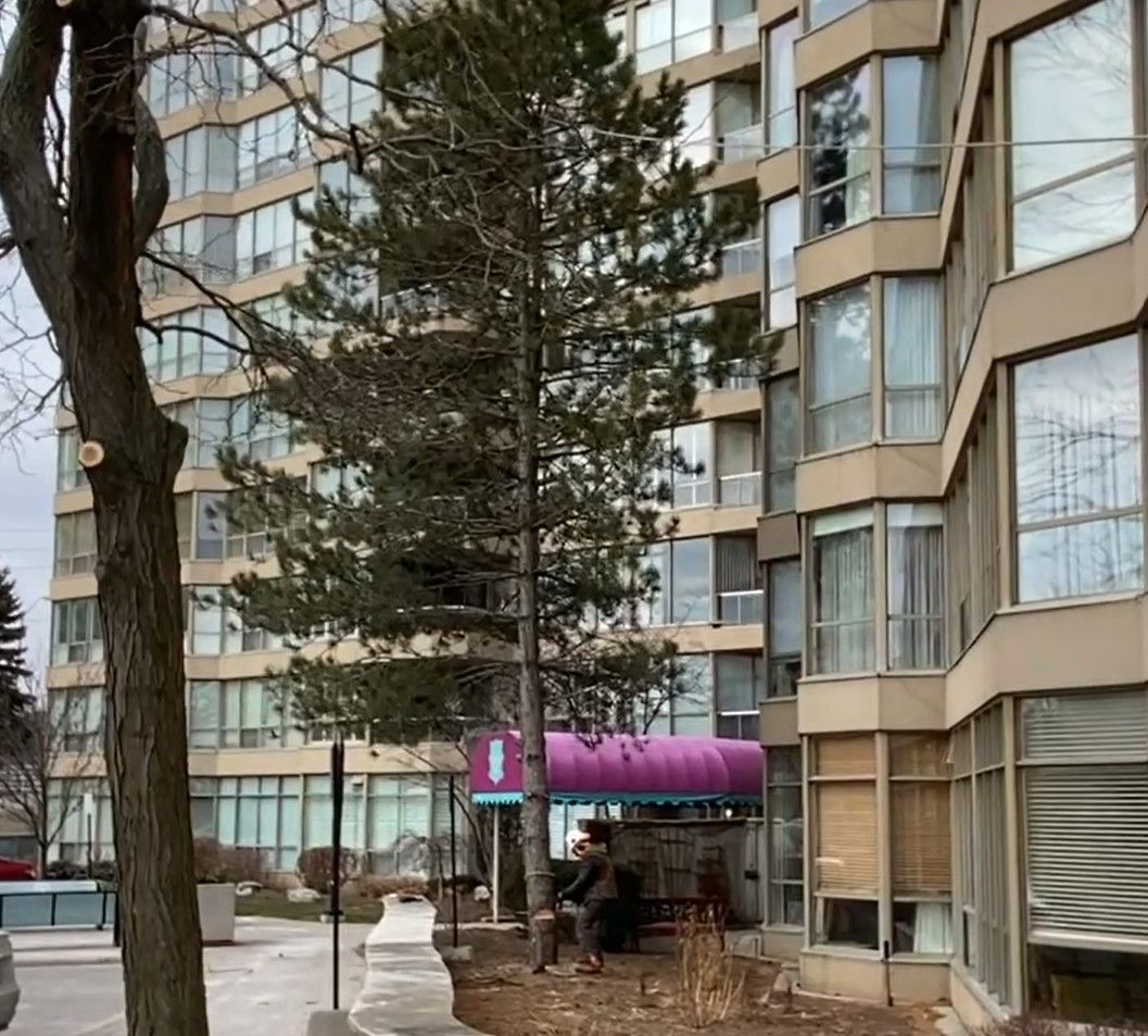 A tall building with a purple awning and trees in front of it