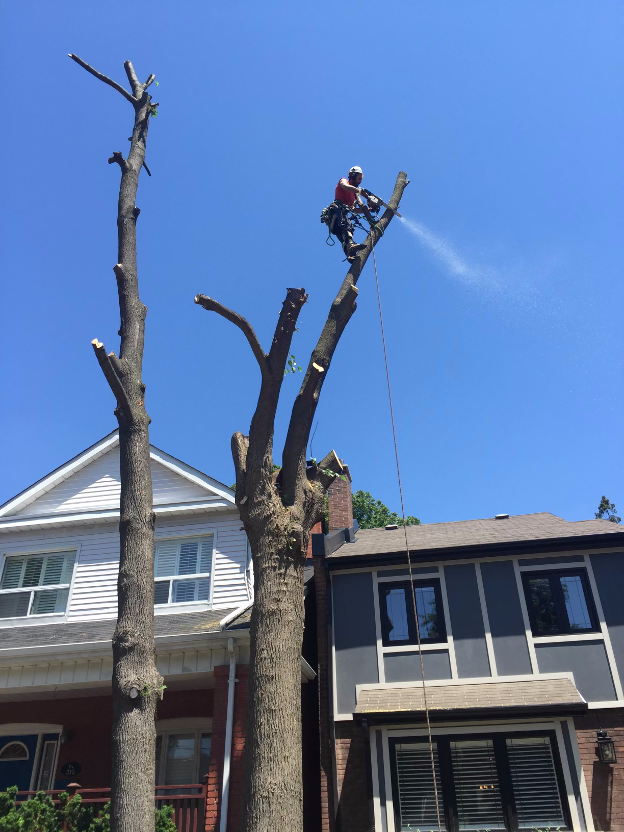 A man is cutting a tree in front of a house.