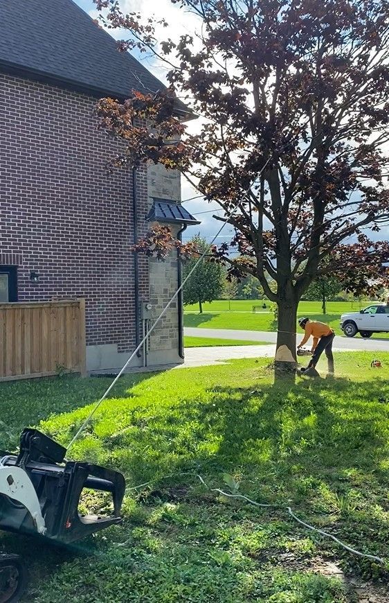 A man is cutting a tree in front of a brick house.
