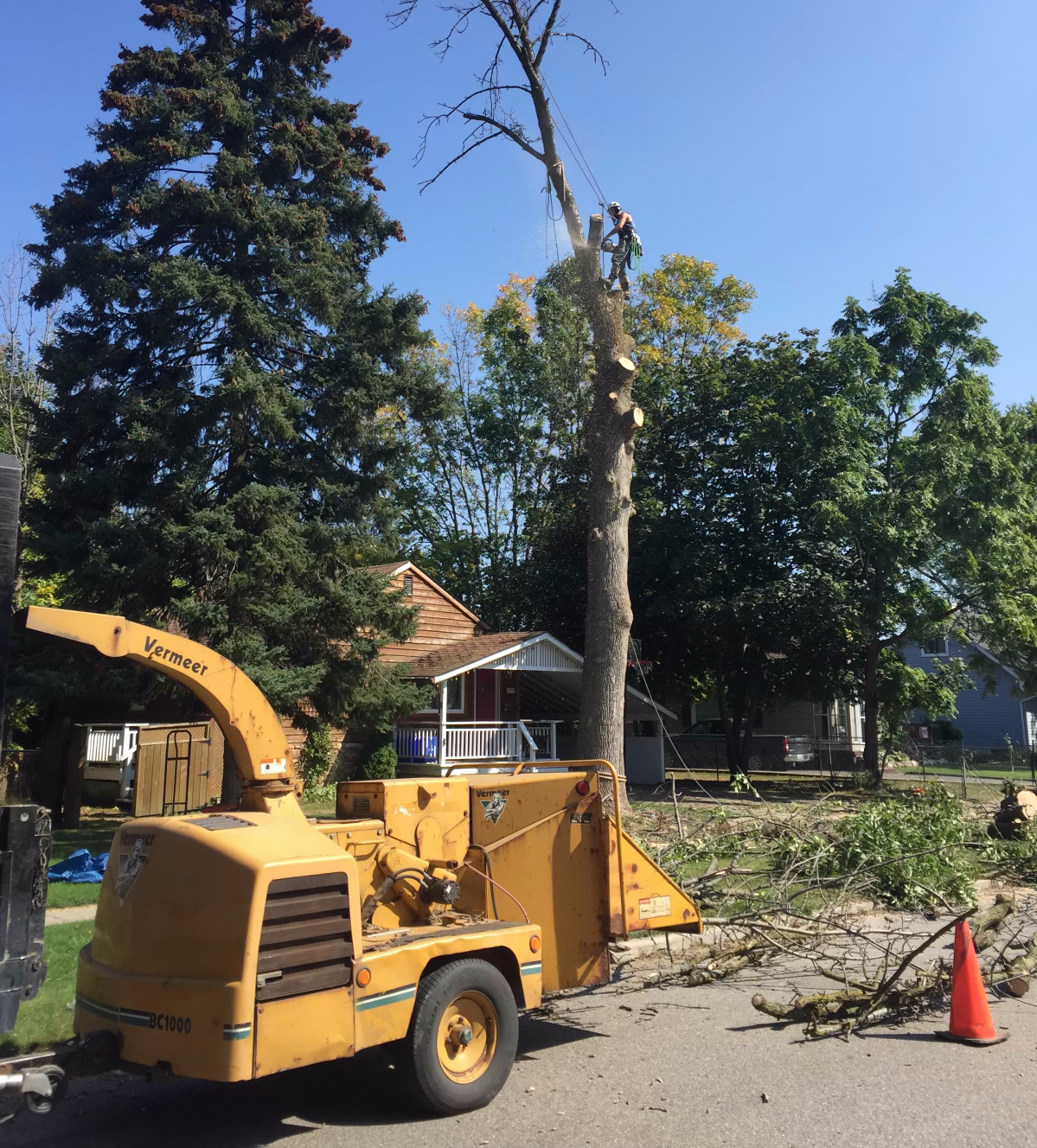 A yellow tree chipper is cutting down a tree