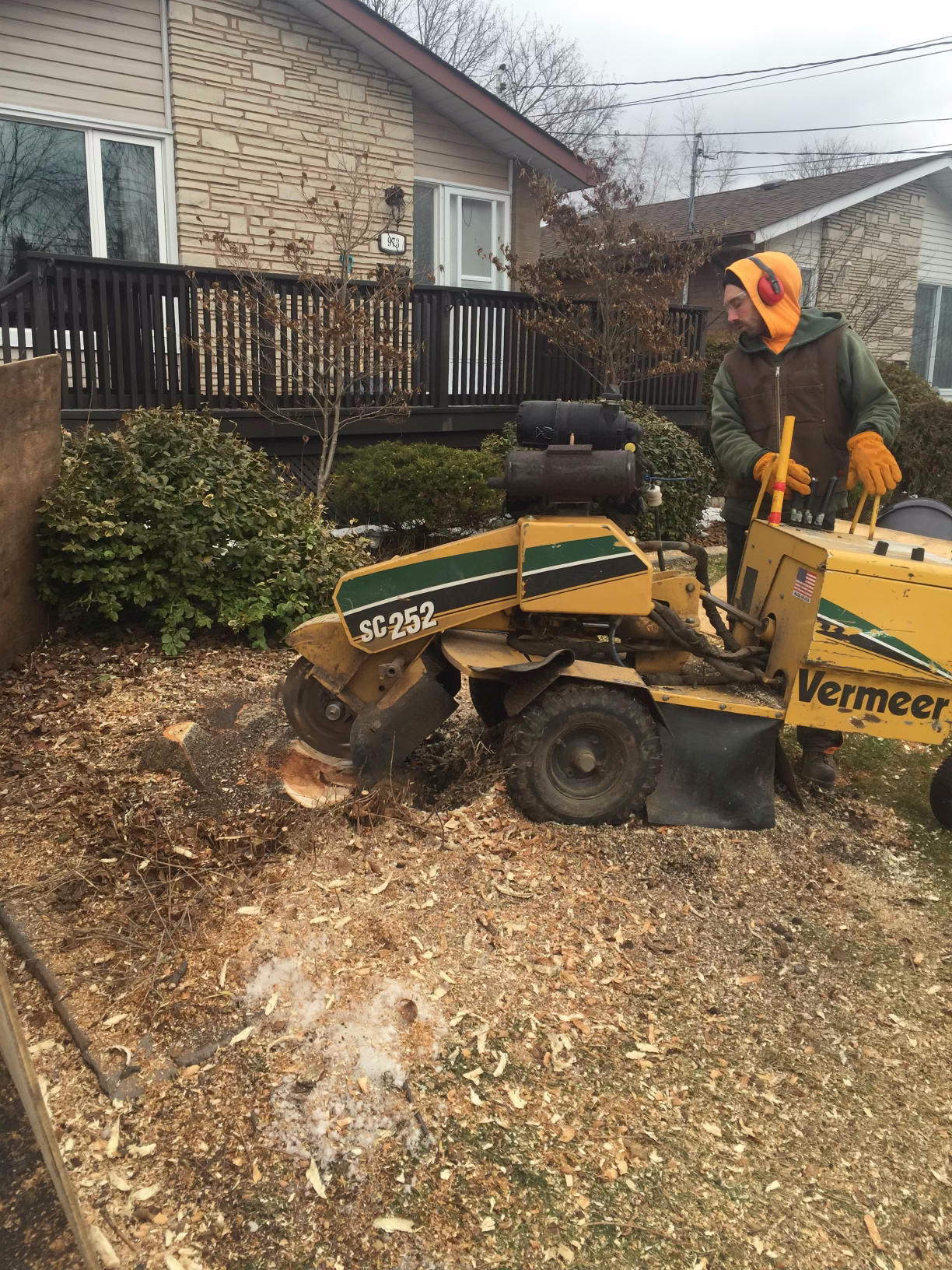 A man is using a stump grinder to remove a tree stump in front of a house.