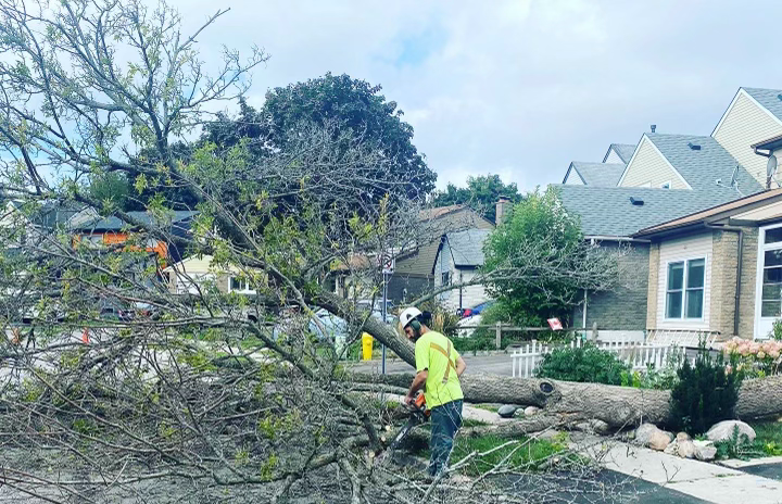 A man is standing next to a fallen tree in front of a house.