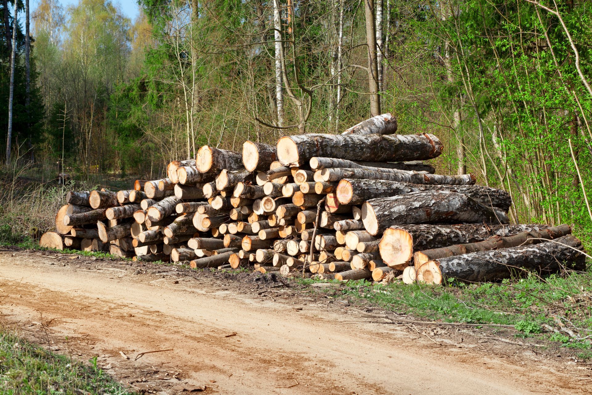 A pile of logs is sitting on the side of a dirt road.
