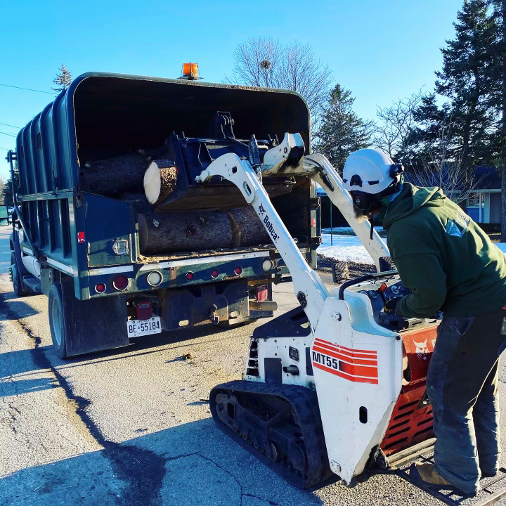 A man is loading logs into a bobcat truck