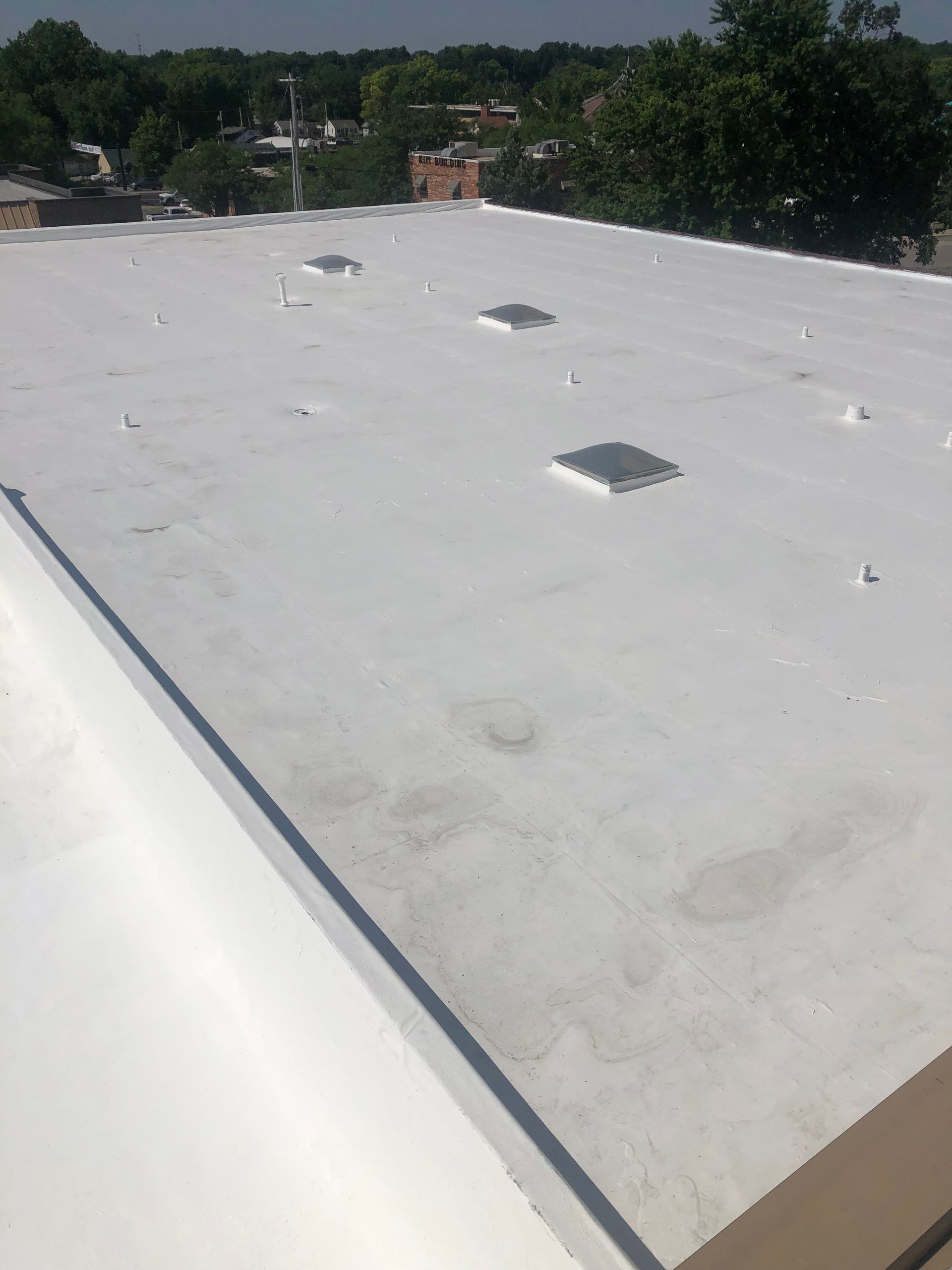 A white roof with a lot of skylights on it.