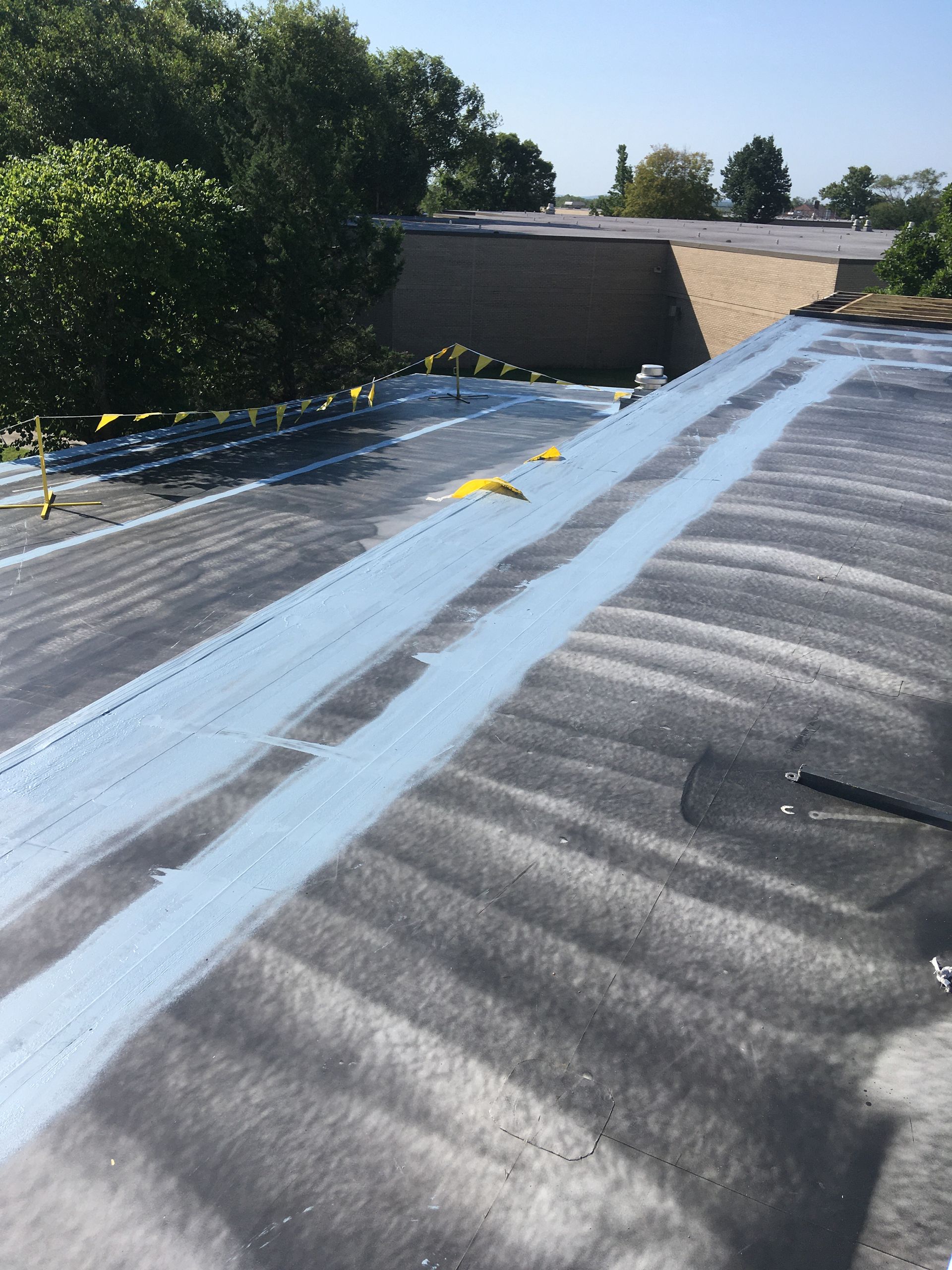 A roof with a blue line on it and trees in the background