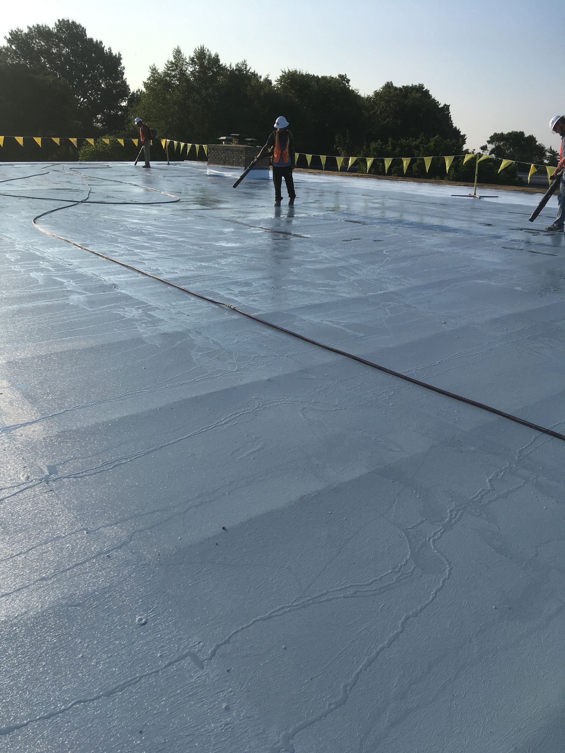 A group of people are standing on a concrete surface