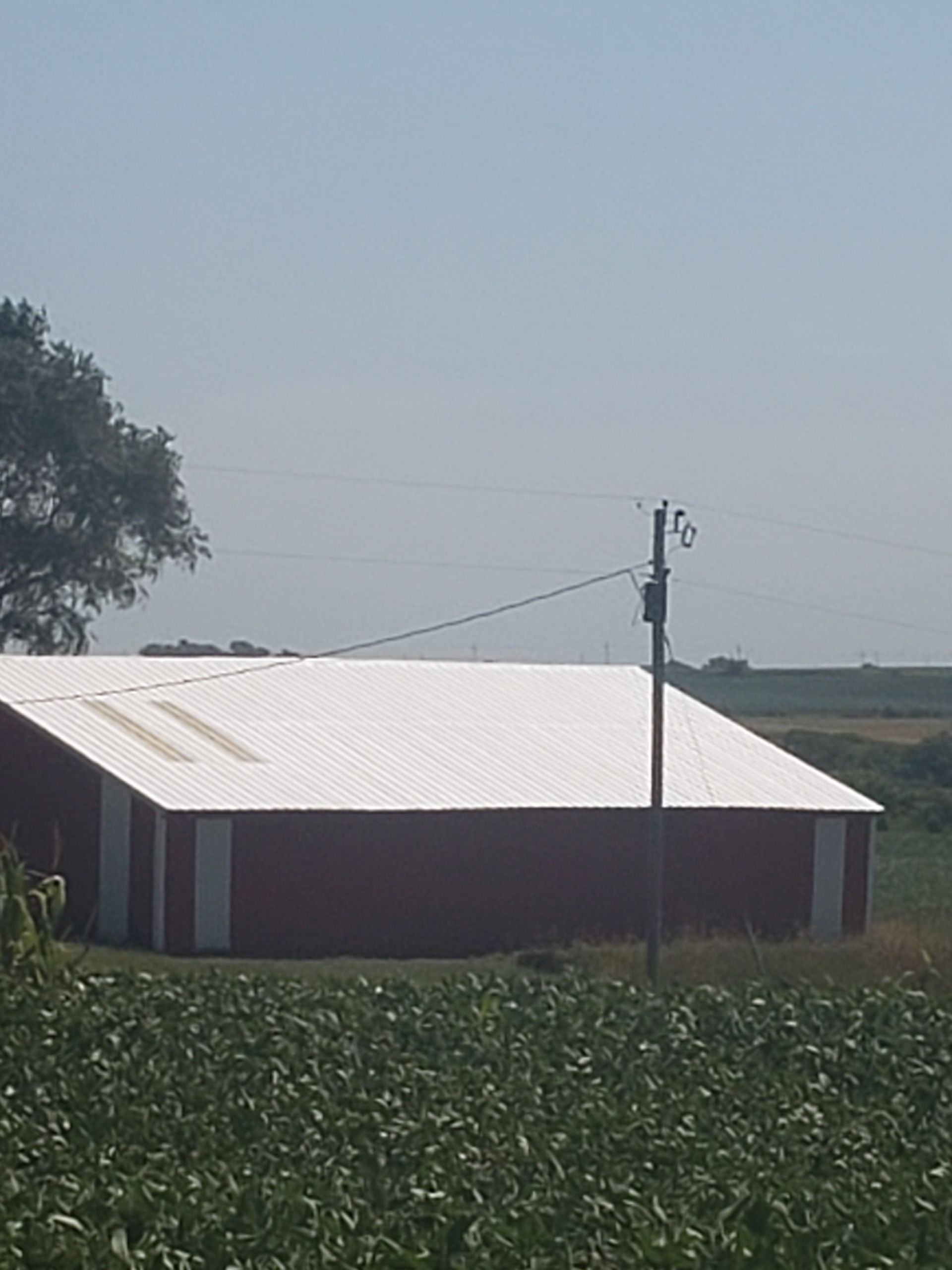 A red barn with a white roof is in the middle of a field.