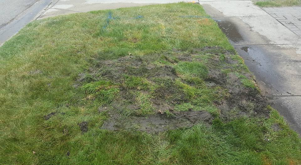 Uneven Soil — Port Huron, MI —  Modern Sewer & Drain Cleaning