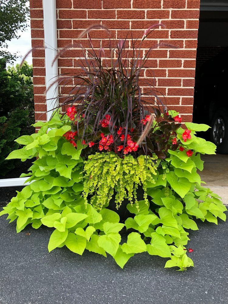 A planter with flowers and green leaves in front of a brick building