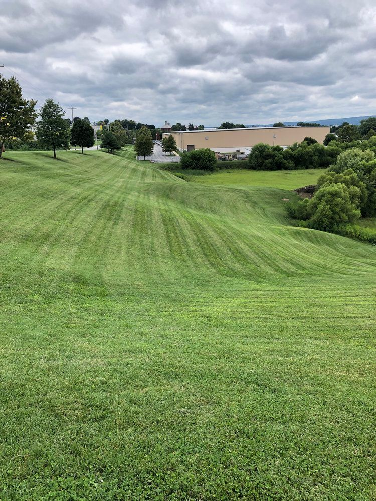 A large lush green field with a cloudy sky in the background.