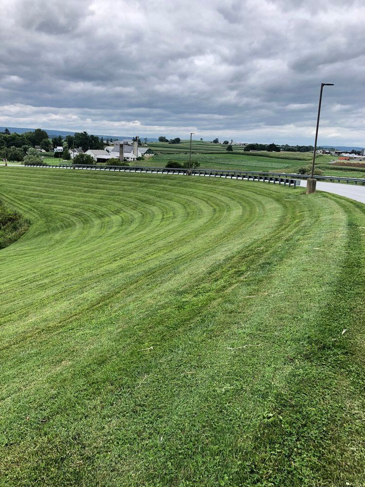 A lush green field of grass is being mowed on a cloudy day.