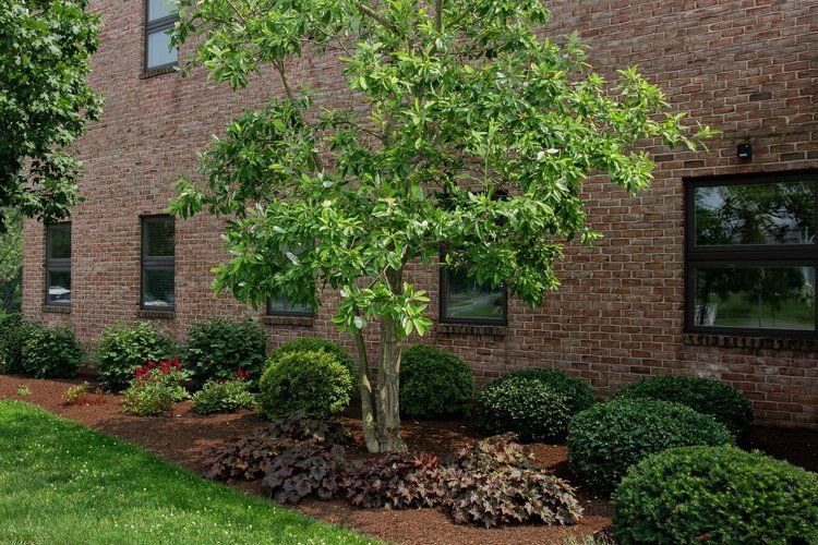A brick building with a tree in front of it.