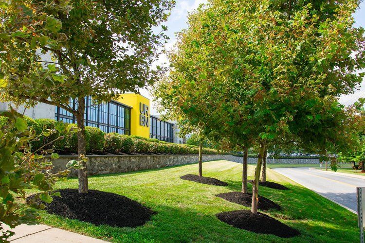A yellow building with a lot of windows is surrounded by trees and grass.