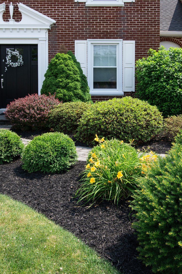 A brick house with a lush green lawn and bushes in front of it.