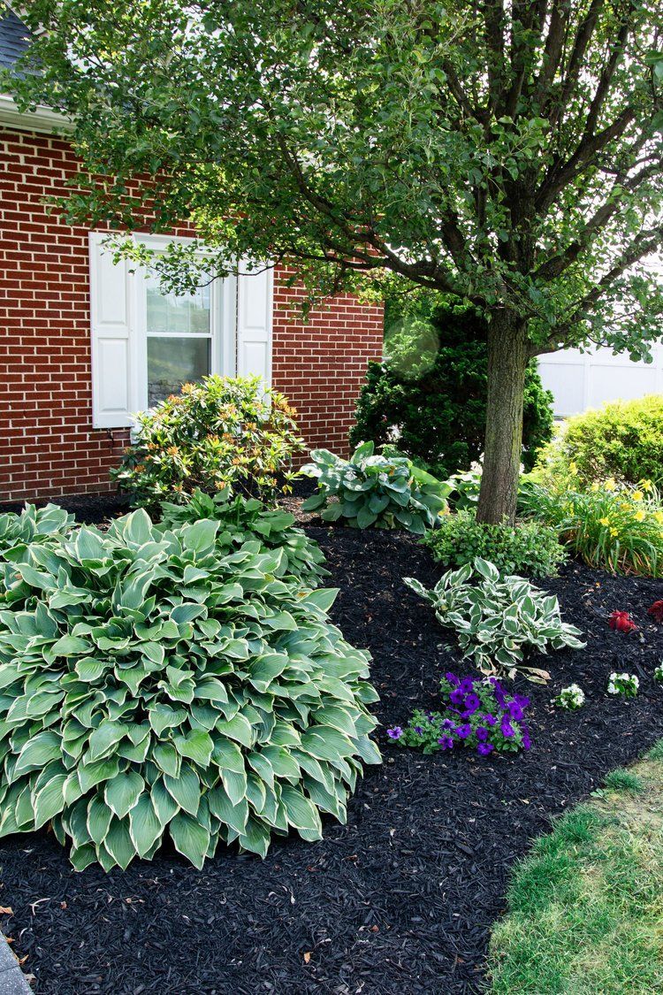 A brick house with a lush green garden in front of it.