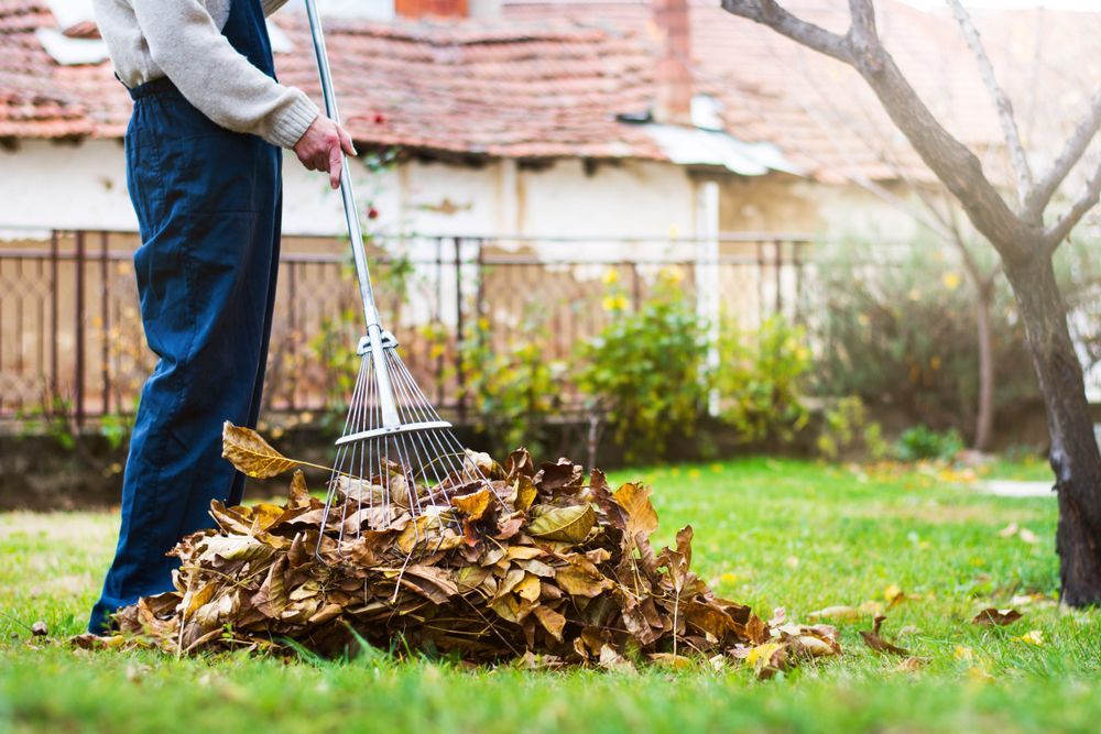 Person Raking a Pile of Fallen Leaves on a Lawn in Front of a House — Aussie Tree Service & Maintenance in Tamworth, NSW