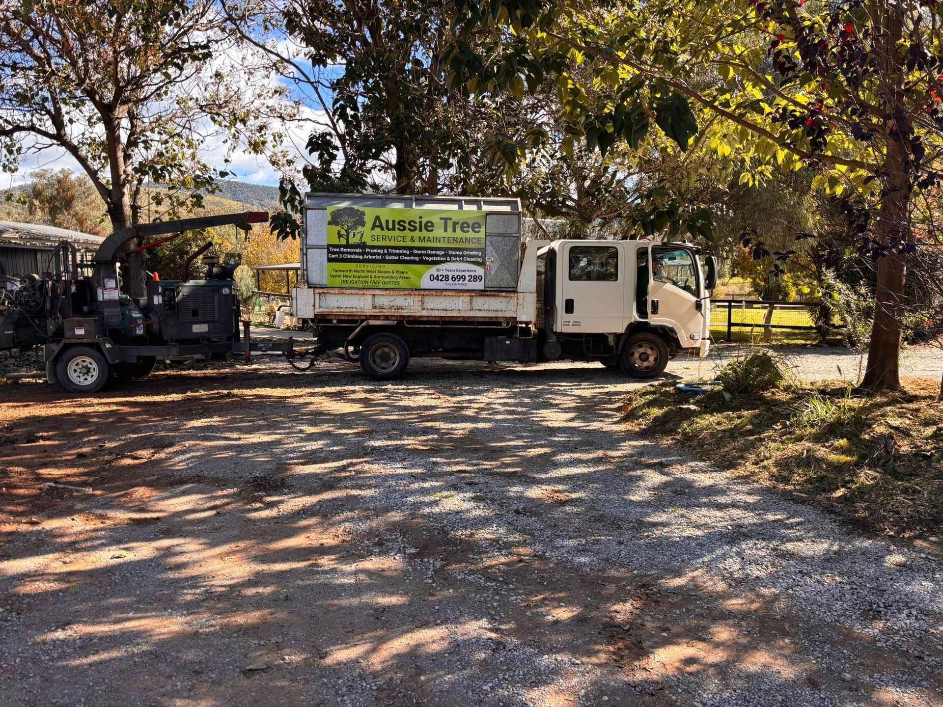 Arborist in safety gear uses a chainsaw to cut a tree trunk; wood chips fly — Aussie Tree Service & Maintenance in Tamworth, NSW