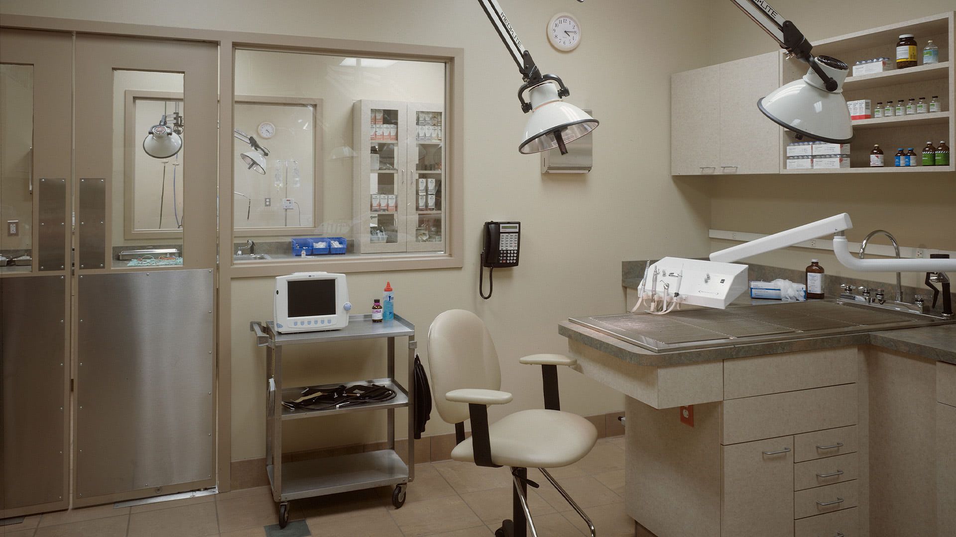 A clean, brightly lit veterinary examination room with an exam table, medical chair, equipment cart, and supply shelves.