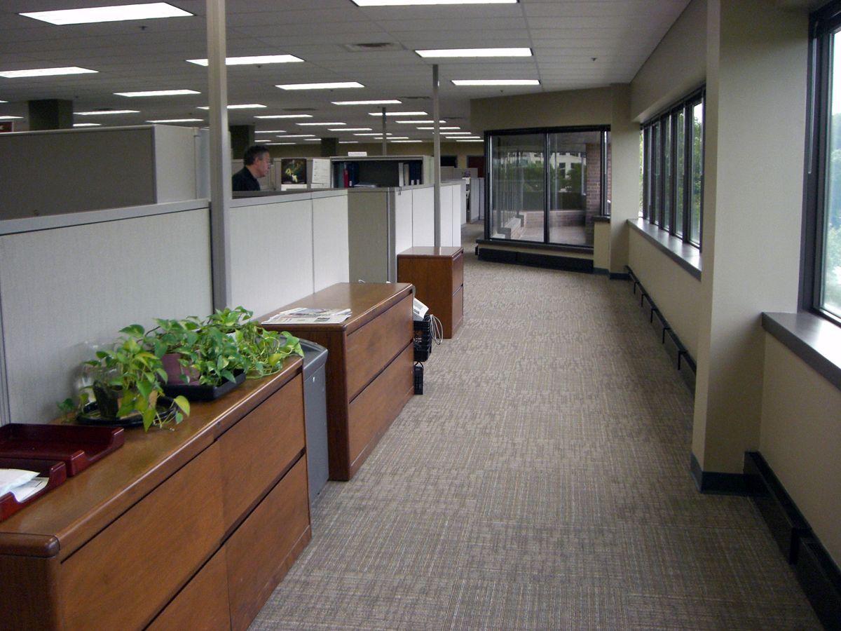 A hallway in an office featuring rows of cubicles, wooden filing cabinets, plants, and large windows.