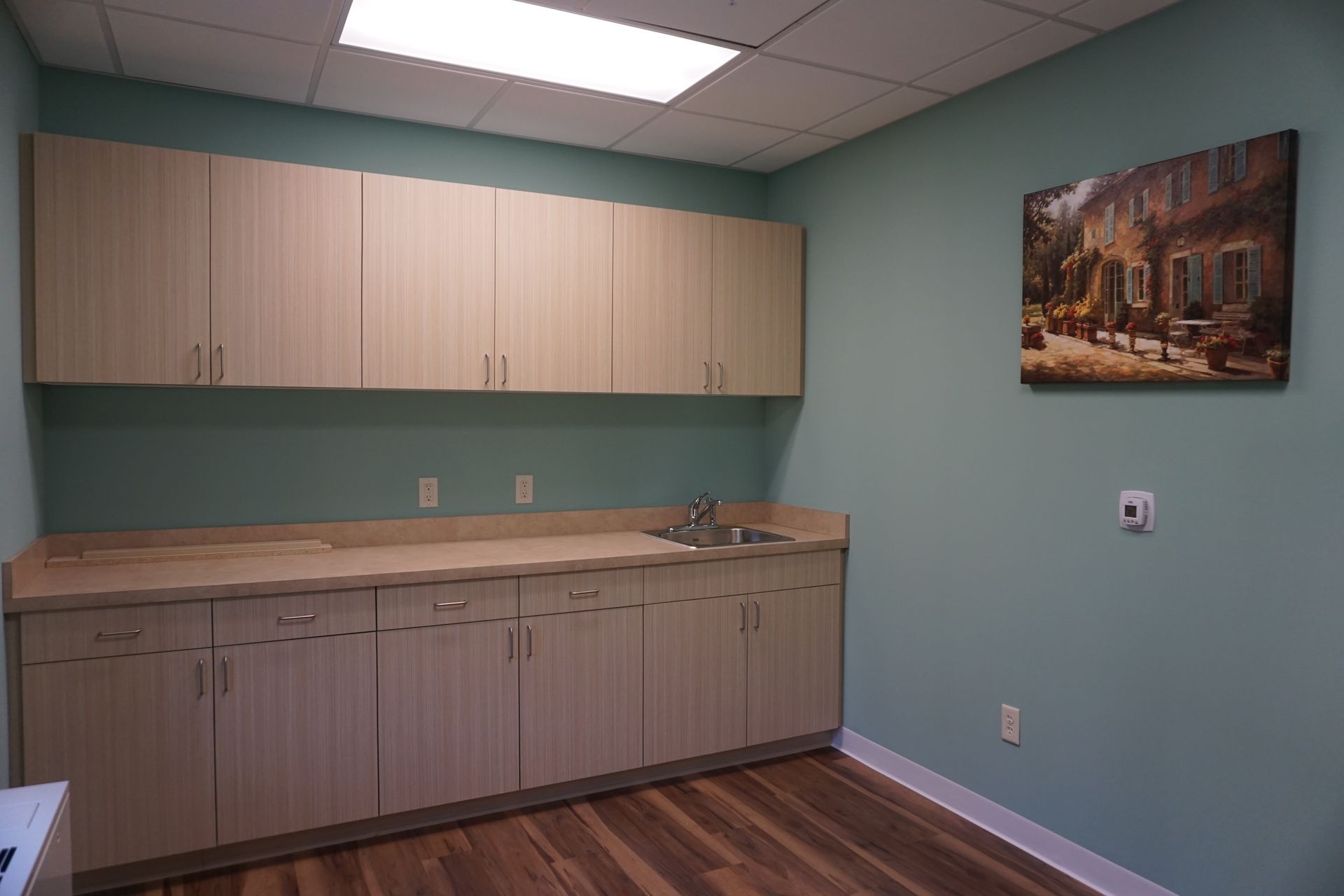 A medical exam room with light wood cabinets, a sink countertop, green walls, wood floors, and a picture of a house.