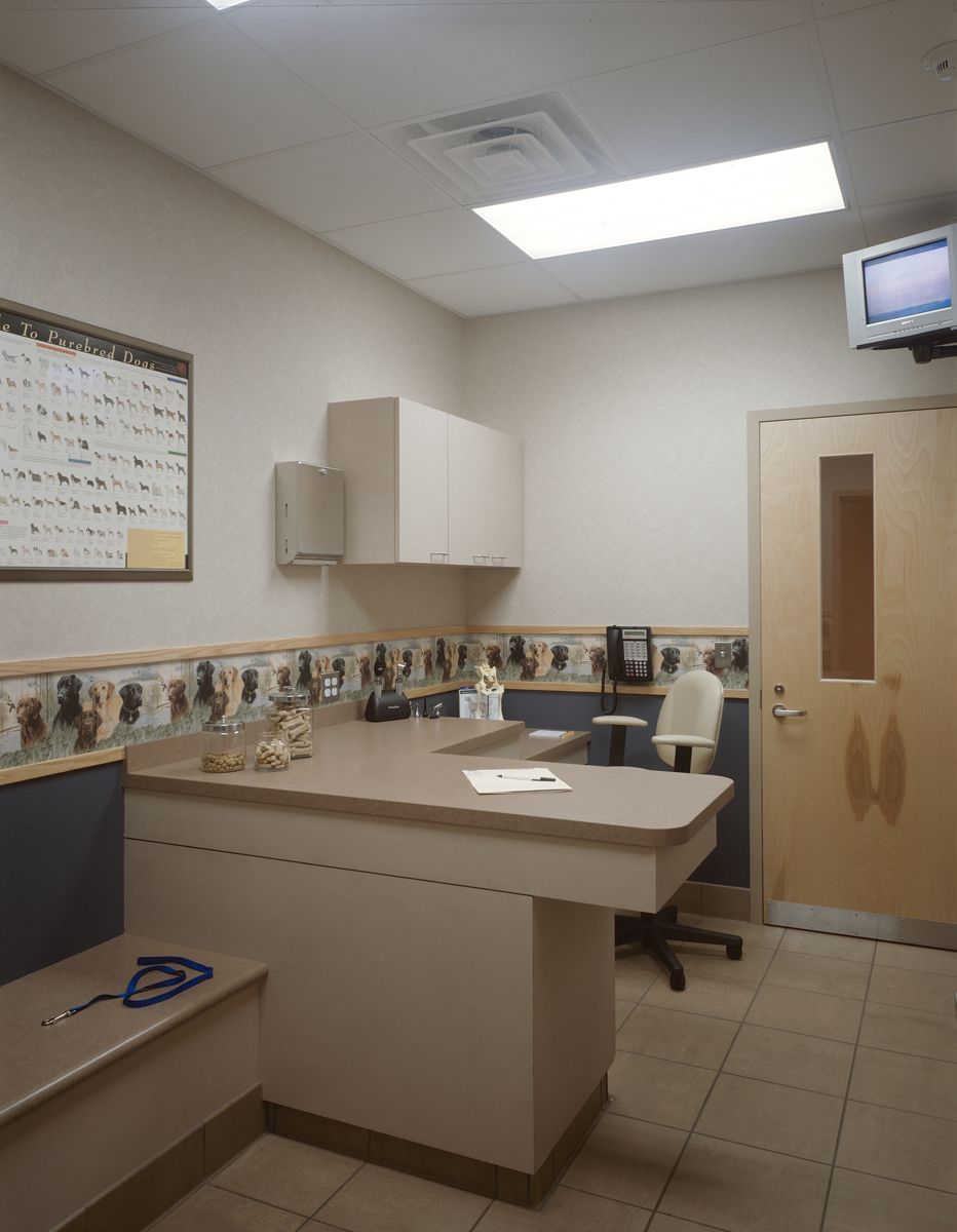 A brightly lit medical exam room featuring a central counter, cabinets, an exam chair, and a door.