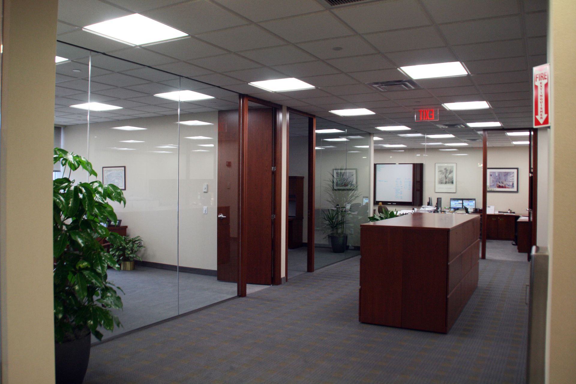 An office interior featuring glass-walled rooms, dark wood furniture, a large plant, and gray carpeting.