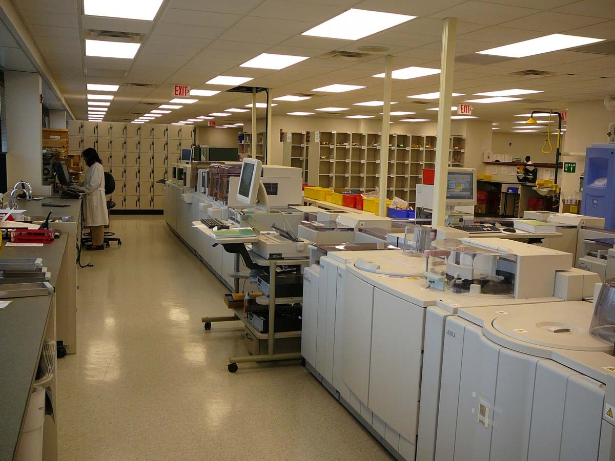 A bright office space with a large wooden desk, black chairs, framed pictures on walls, and large windows.