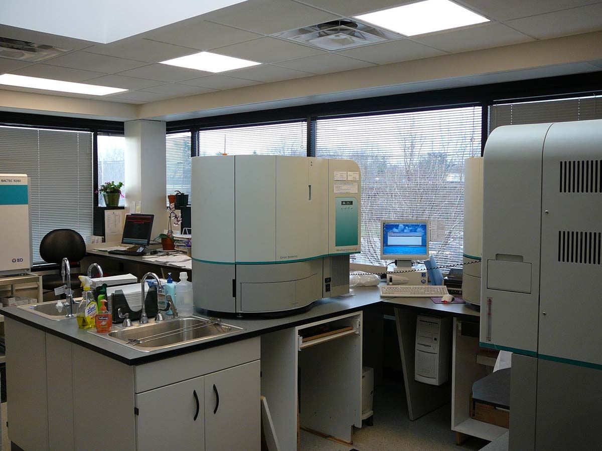 A hallway in an office featuring rows of cubicles, wooden filing cabinets, plants, and large windows.