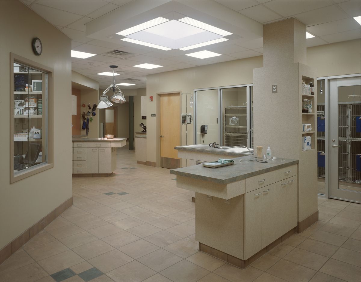 A brightly lit, modern veterinary exam room with neutral-toned walls, tile floors, built-in cabinets, and medical equipment.