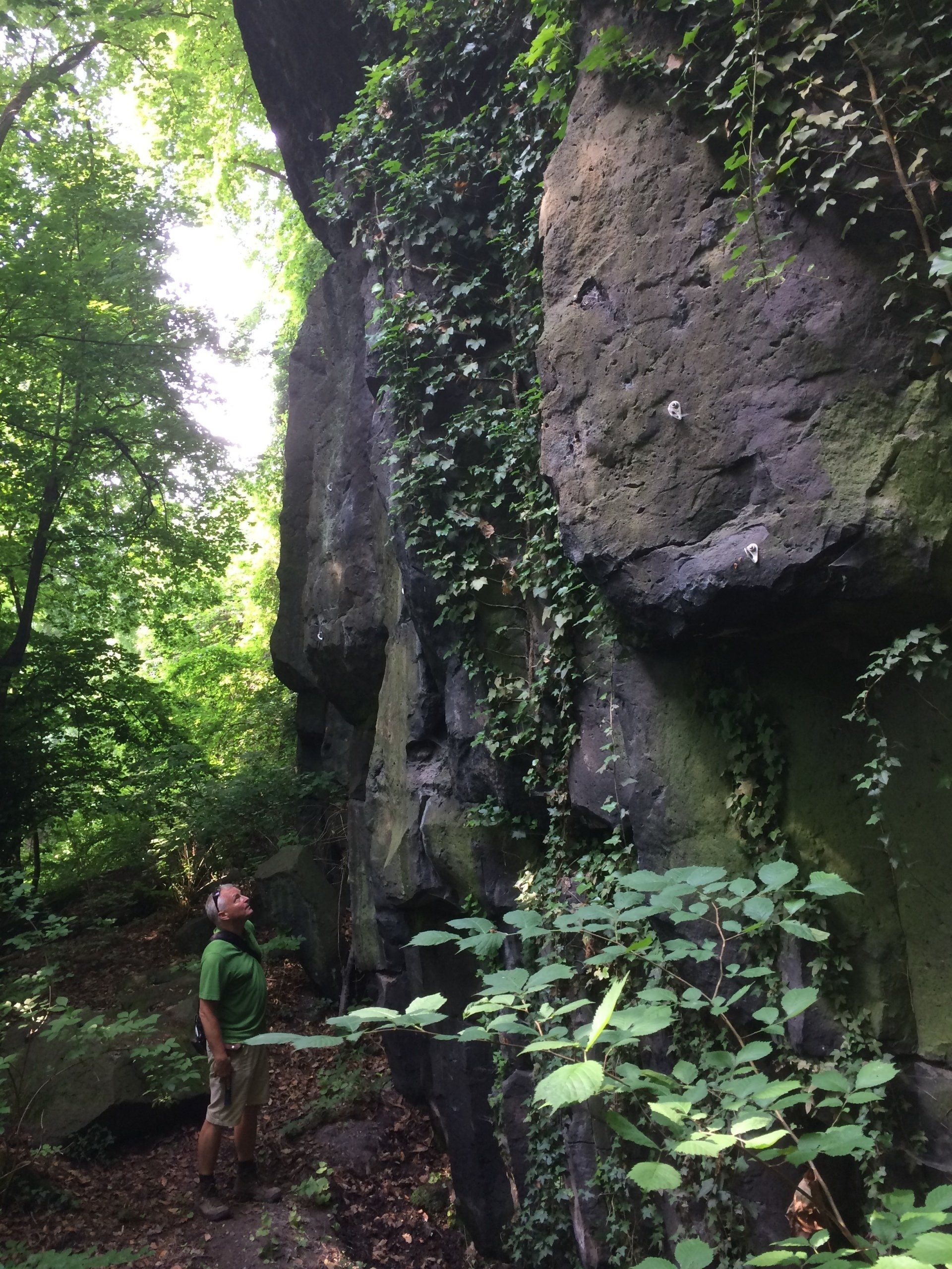 Sven von Loga vor der Steinbruchwand direkt oberhalb des Rheins