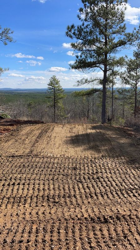 A dirt field with trees in the background and a blue sky.