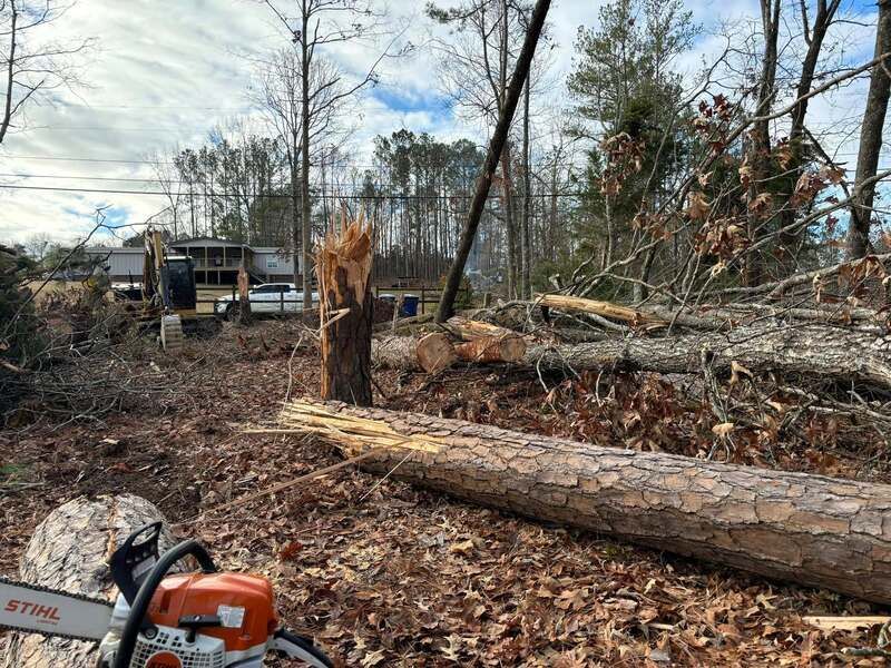 A chainsaw is sitting in the middle of a forest.