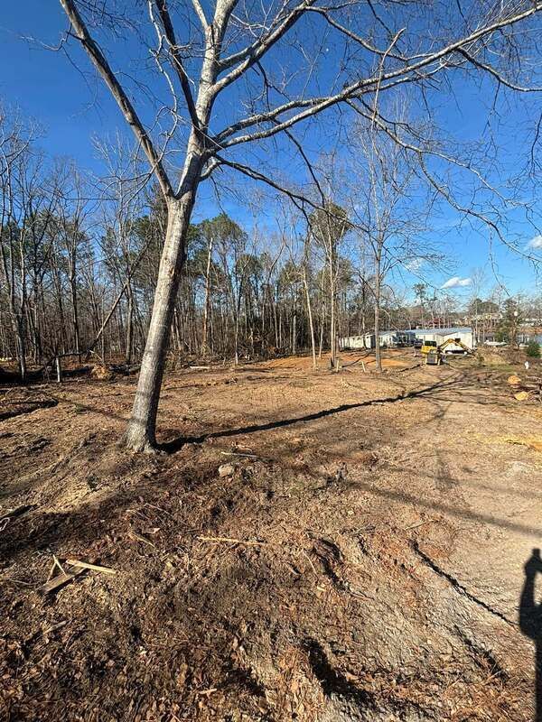 There is a tree in the middle of a dirt field.