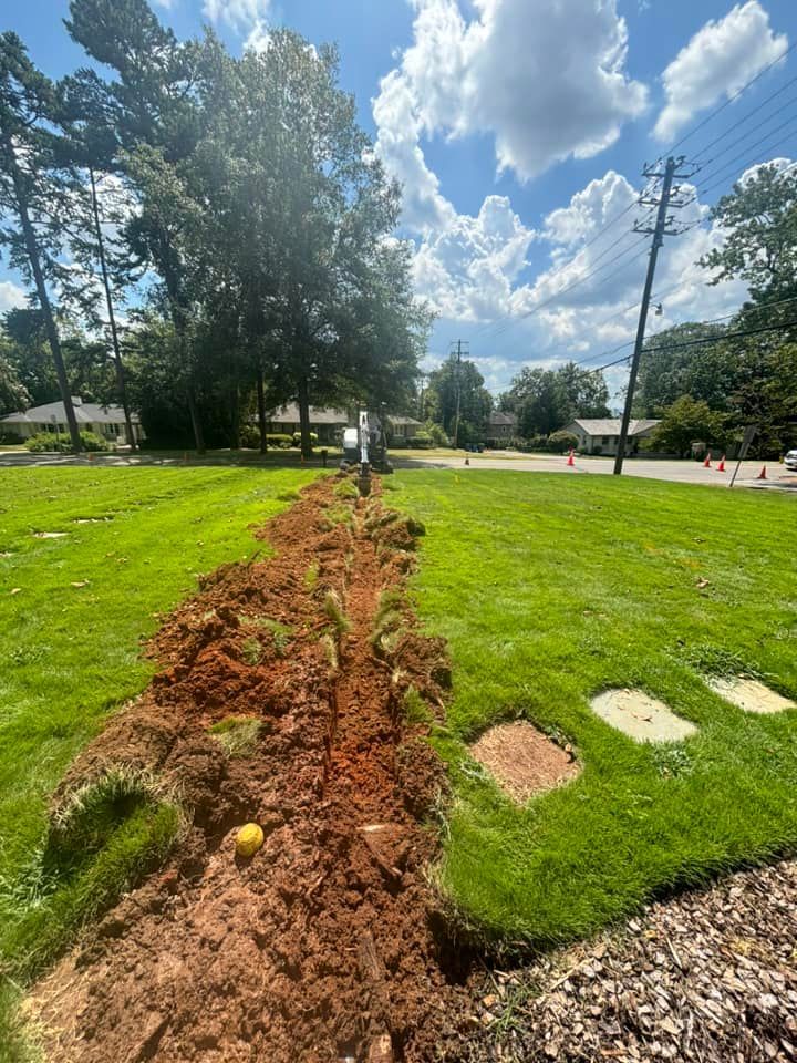 A dirt path in the middle of a lush green field.