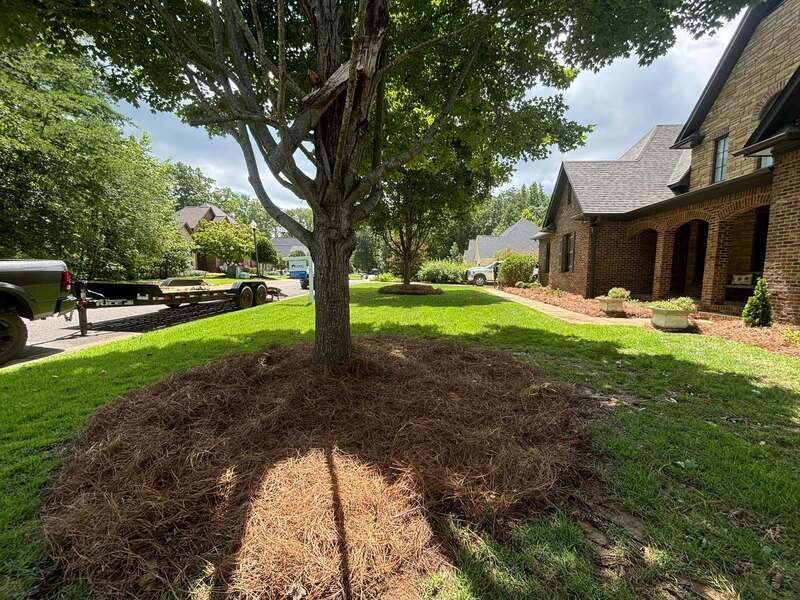 A large house with a tree in the middle of the yard.