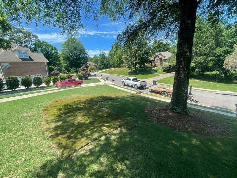 A white truck is driving down a residential street next to a tree.