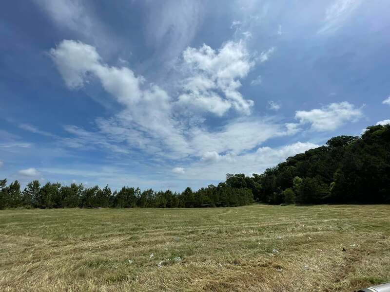 A field with trees in the background and a blue sky with clouds