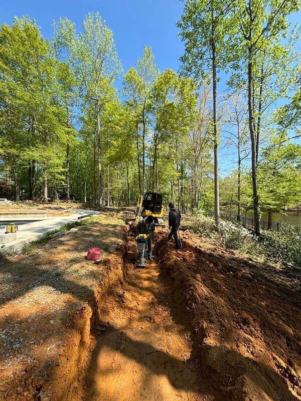 A man is digging a hole in the dirt in the middle of a forest.