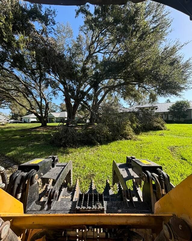 A tractor is cutting a tree in a grassy field.