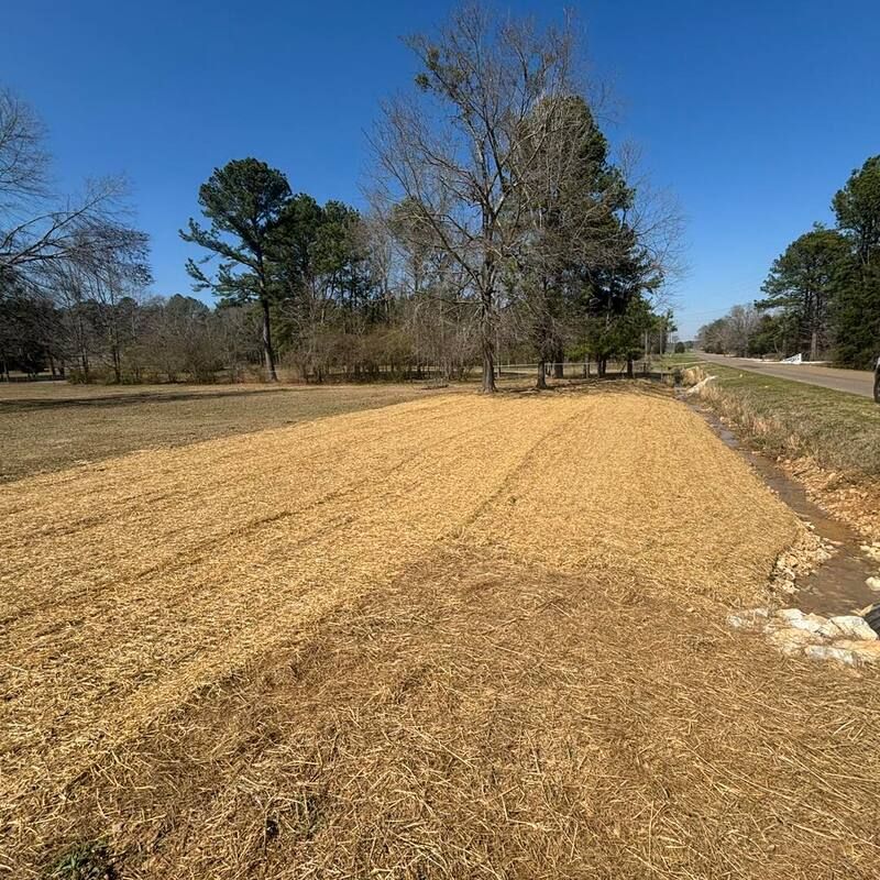 A dirt field with trees in the background and a road in the foreground.
