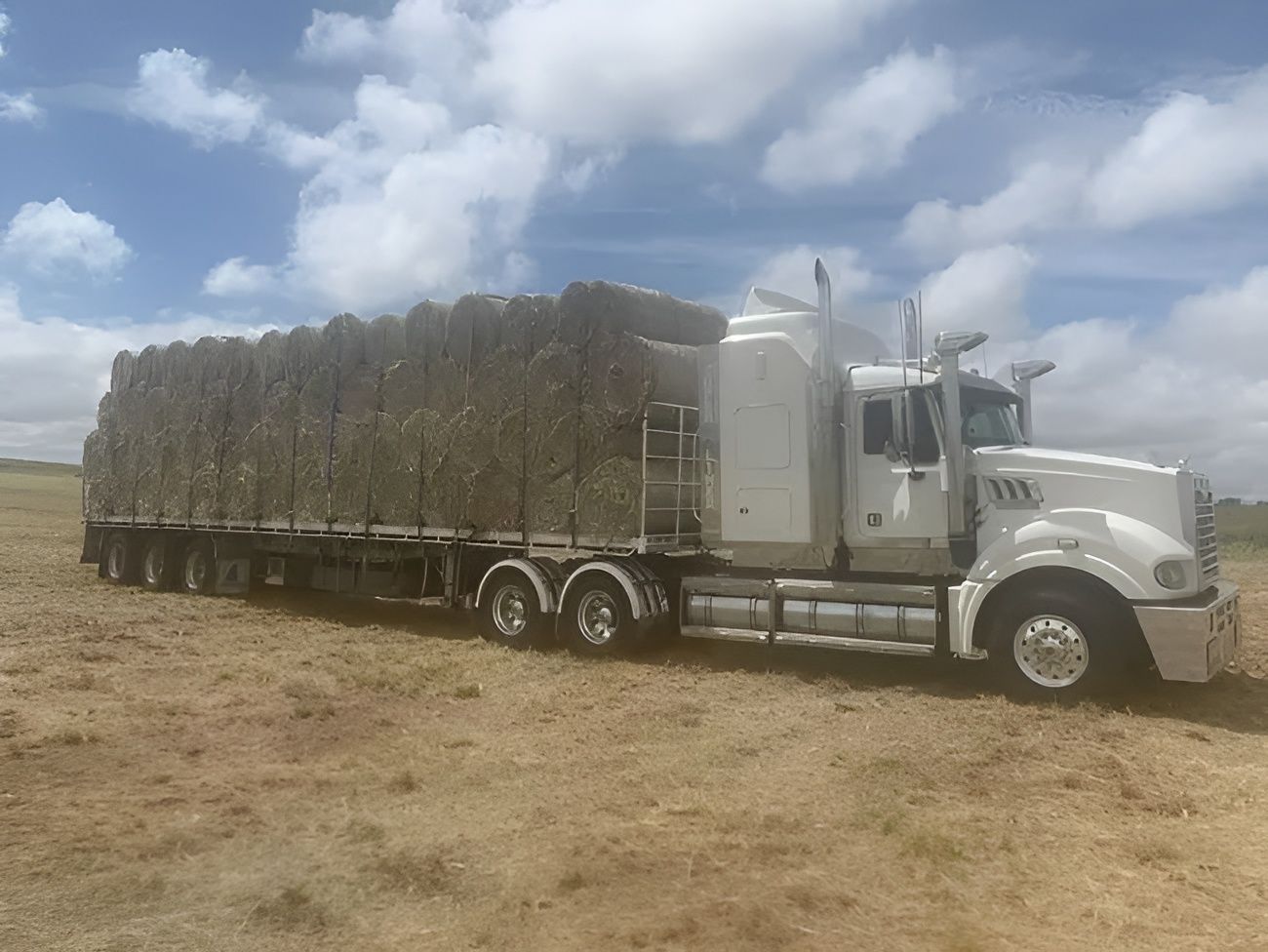 A Row of Semi Trucks Are Parked in A Parking Lot — Smillie Transport Pty Ltd in Toowoomba, QLD