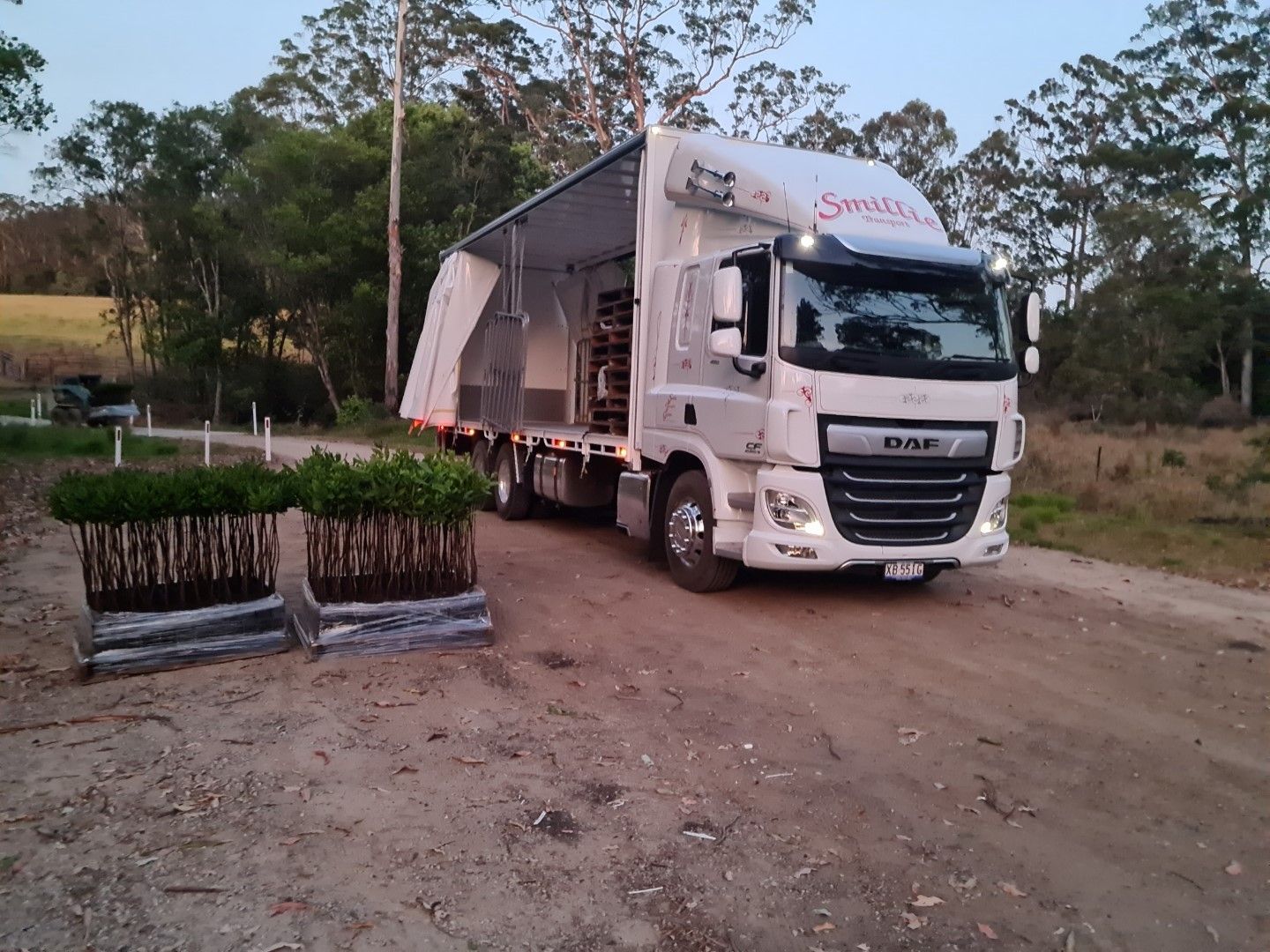 A Truck ready to upload plants for transport— Smillie Transport Pty Ltd in Two Mile, QLD