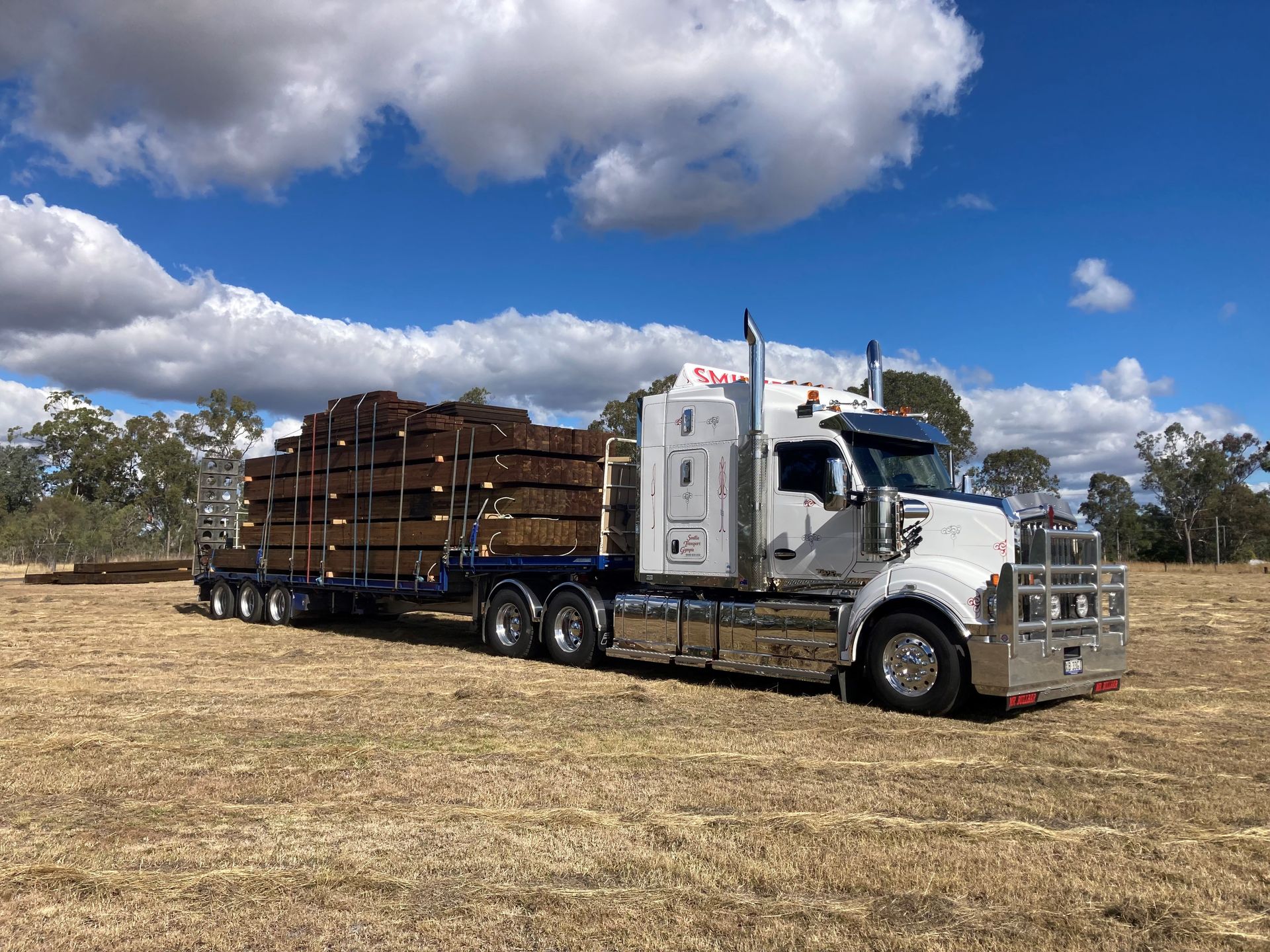 A Large White Semi Truck with wood on the back in A Grassy Field— Smillie Transport Pty Ltd in Two Mile, QLD
