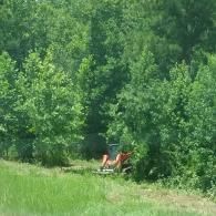 A person wearing an orange shirt operates a tractor to mow grass near the edge of a dense, green forest.