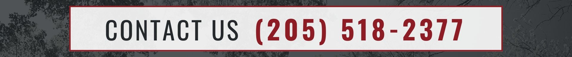 White rectangular button featuring the dark red text: CONTACT US (205) 518-2377.