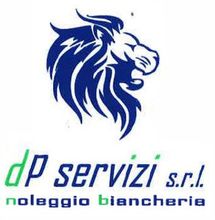dp servizi s.r.l_Logo
