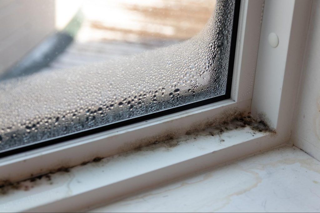 Window with condensation and visible mold growth in the bottom corner.